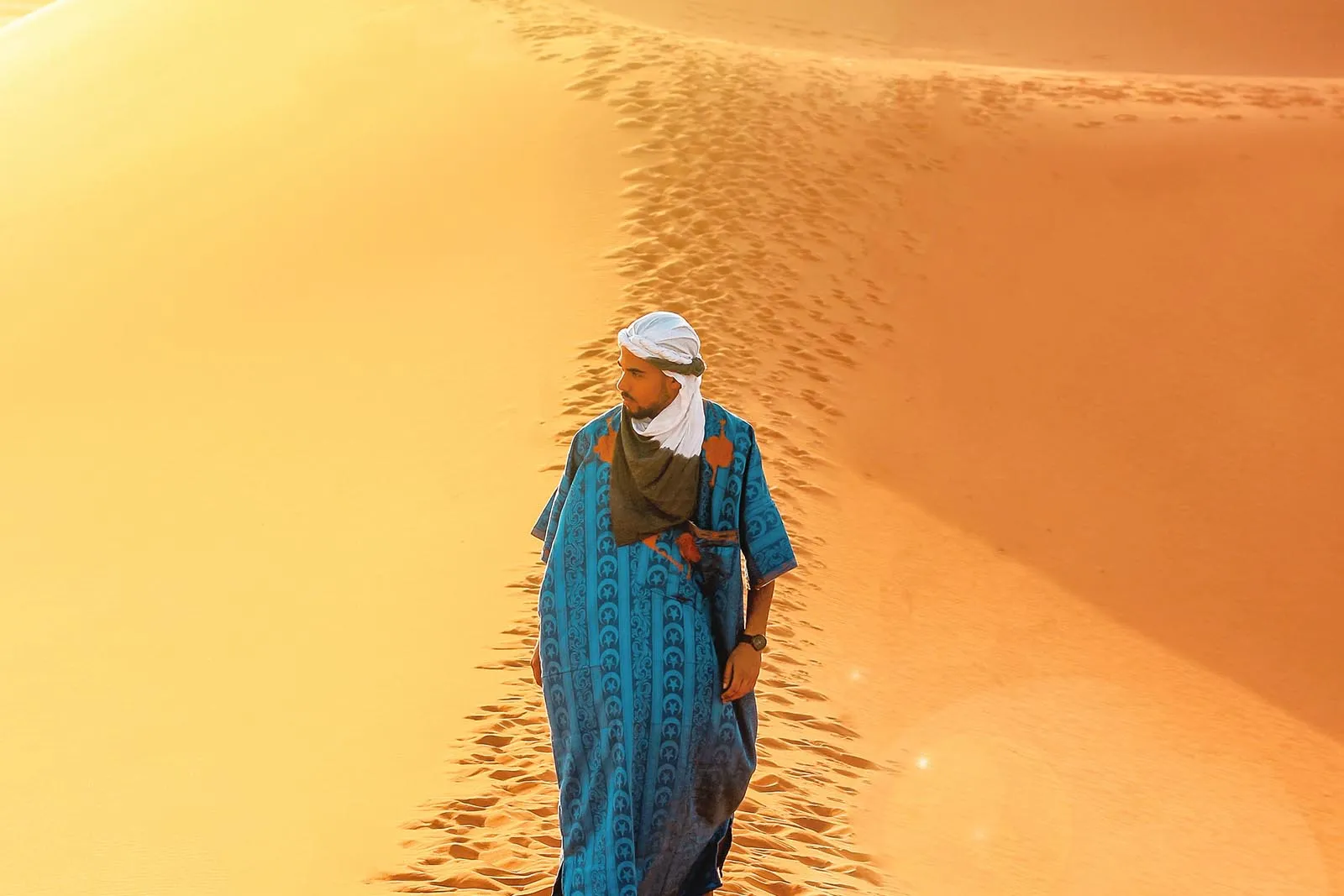 Camel caravan in the Moroccan desert at golden hour
