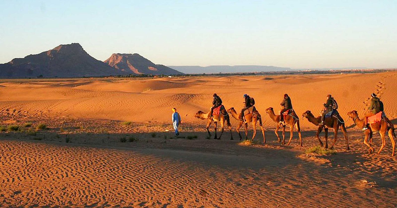 Caravana de dromedarios en las dunas cerca de Zagora al atardecer, Marruecos