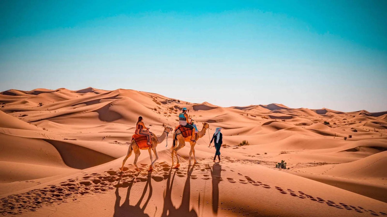 Camel trek in the Sahara dunes of Morocco