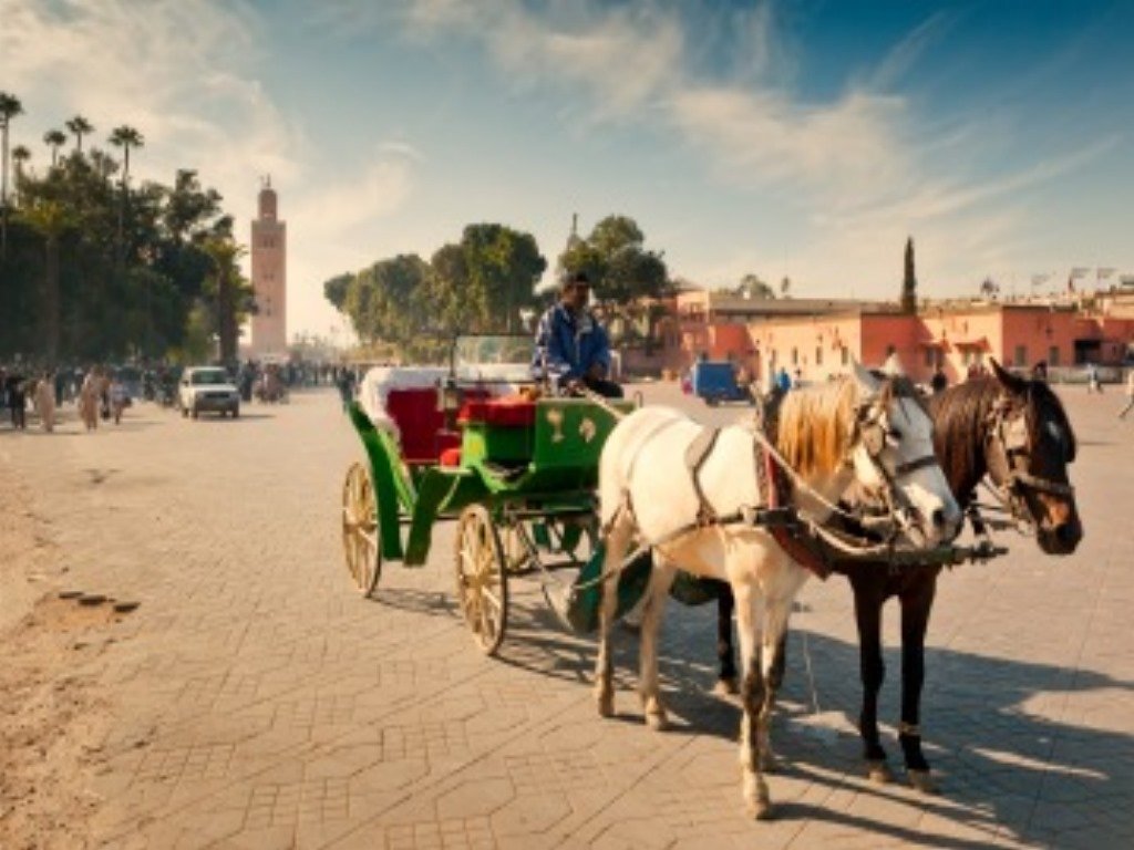 Camel trek in the Moroccan desert in winter