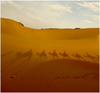 Marrakech Tours Morocco
