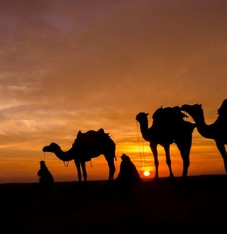 Fes To Sahara Tours