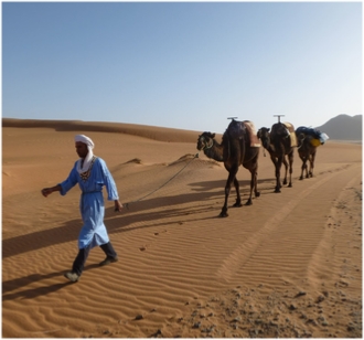 Marrakech Tours Morocco