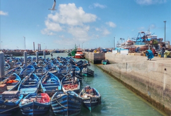 Day Trips from Marrakech