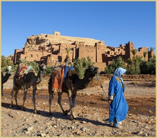 Morocco Tours
