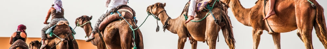Marrakech Tours Morocco
