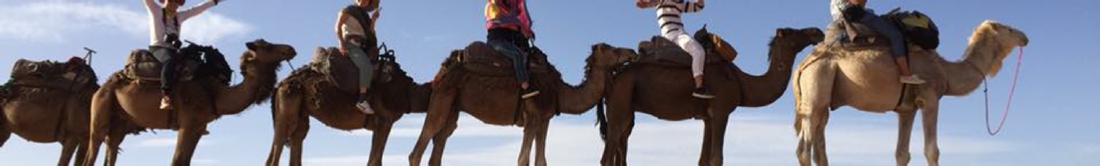 Marrakech Tours Morocco