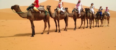 Camel Trek with 1 Night in Desert Camp