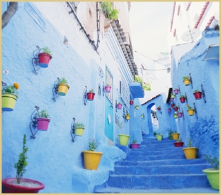 Tours from Casablanca
