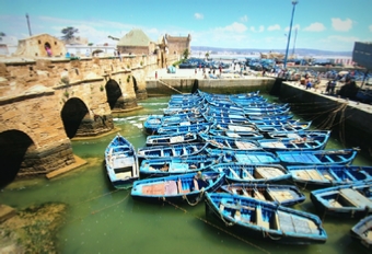 Day Trips from Marrakech