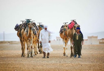 Desert Tours from Fes