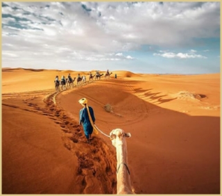 Morocco Tours